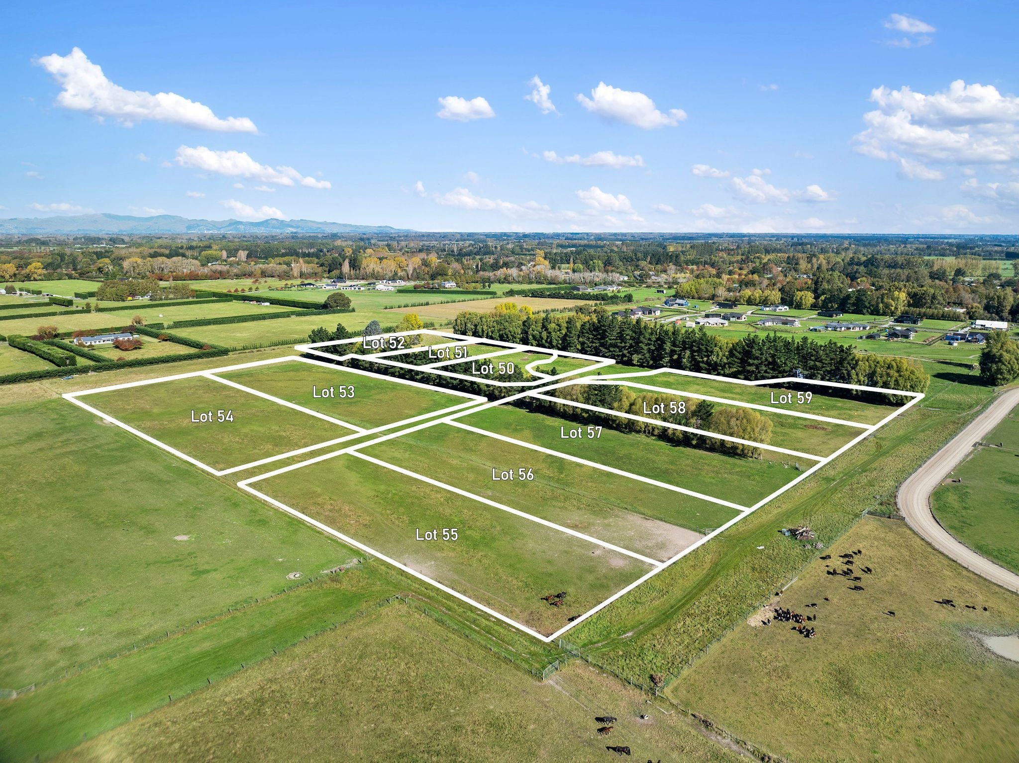 Hallfield of Ohoka — lifestyle section view 4